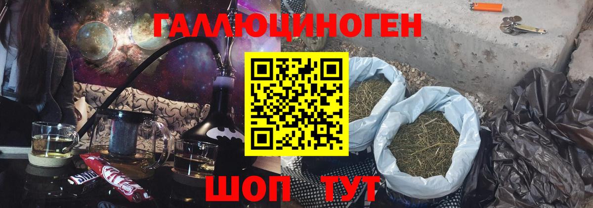 Псилоцибиновые грибы мицелий Новокуйбышевск